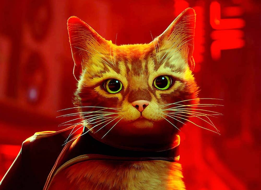 A 'Stray' egy valódi vérfrissítés a játékipar számára - Egy macska kalandját követi egy sötét cyberpunk világban